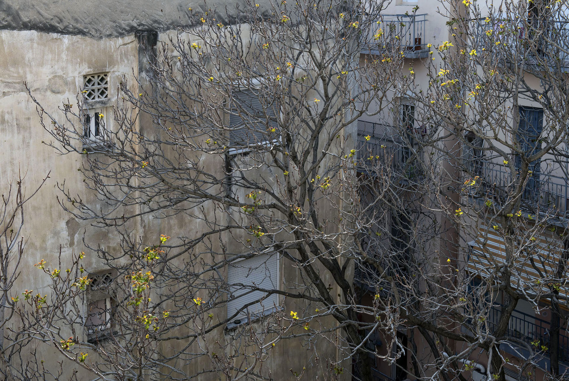 Paris Petridis Photography