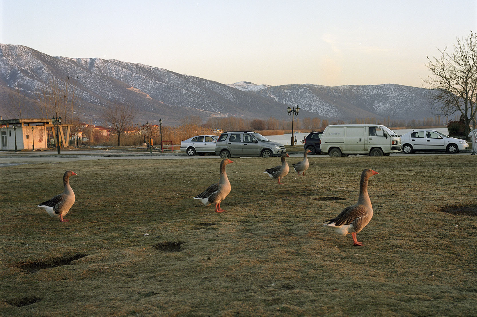 Paris Petridis Photography