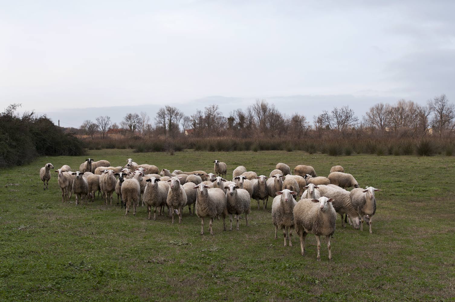 Paris Petridis Photography